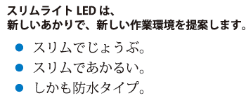 嵯峨電機工業株式会社 / LED・作業灯 / SL-LED30BW